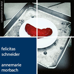 Lebensmittel im Abfall - Von der Verwendung zur Verschwendung